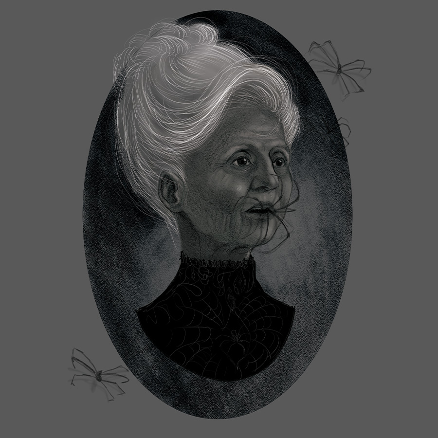 edwardian portrait illustration